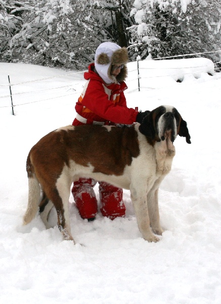 Vulgo du val du morakopf