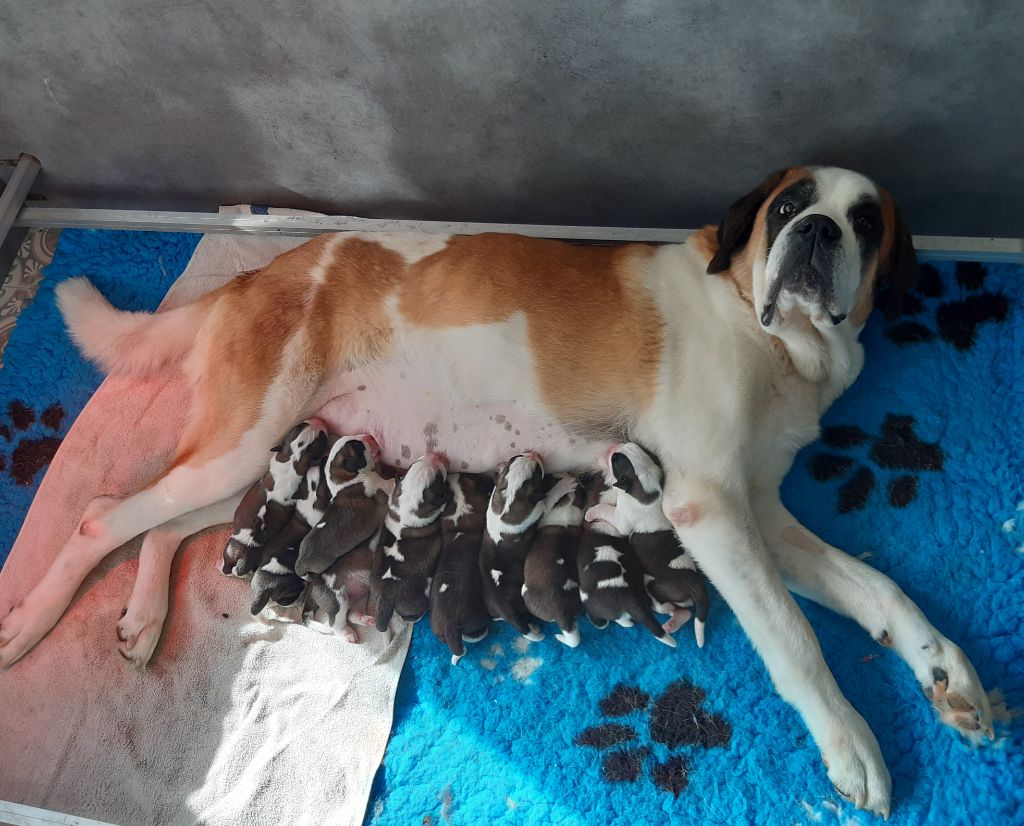 Naissance le 6 octobre 2025!!!!